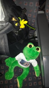 artgerecht-außerhalb des Rucksacks :-) Danke für das Blümchen Anni!