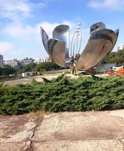 FB_IMG_1431823316569